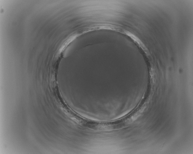 X0000070250977200606232003