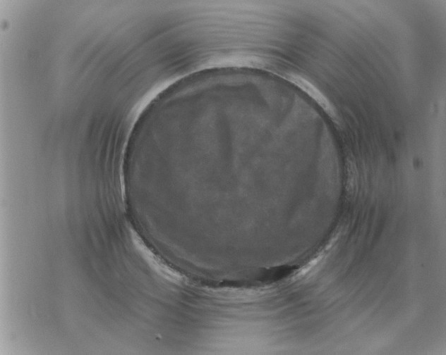 X0000070250980200606232003