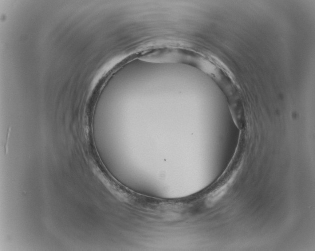 X0000070250981200606232003