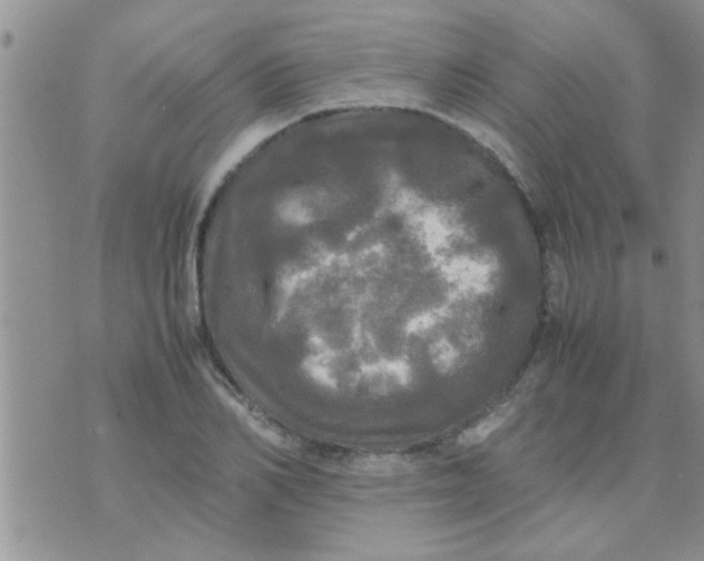 X0000070250982200606232003