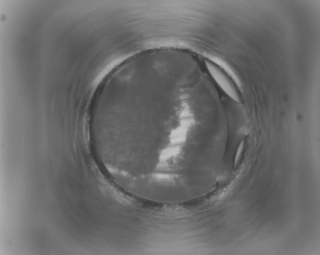 X0000070250983200606232003