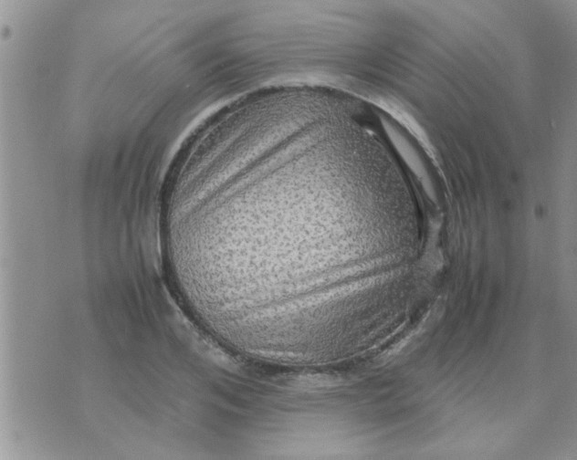 X0000070250984200606232003