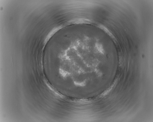 X0000070250986200606232003