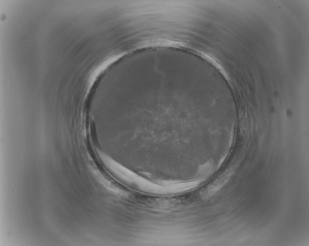 X0000070250987200606232003