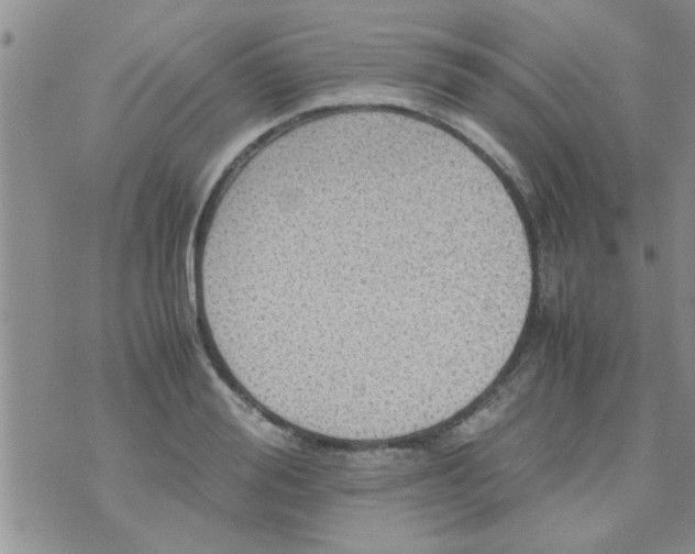 X0000070250988200606232003