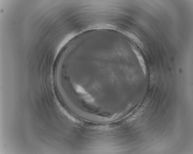 X0000070250990200606232003