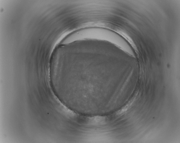 X0000070250992200606232003