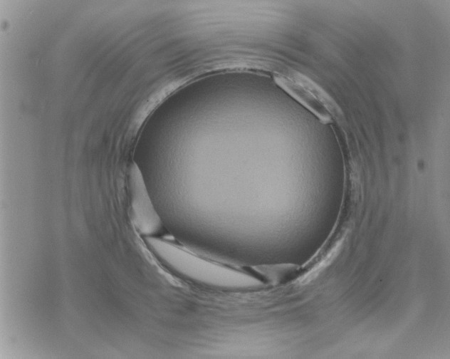 X0000070250993200606232003