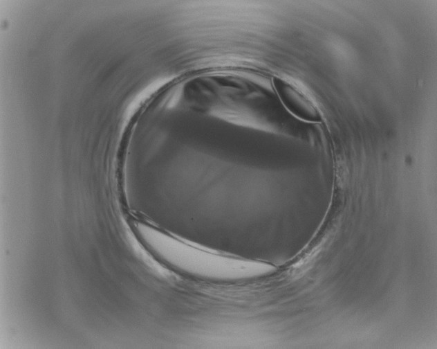 X0000070250995200606232003