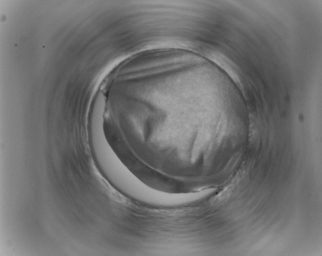 X0000070250996200606232003