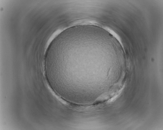 X0000070250997200606232003