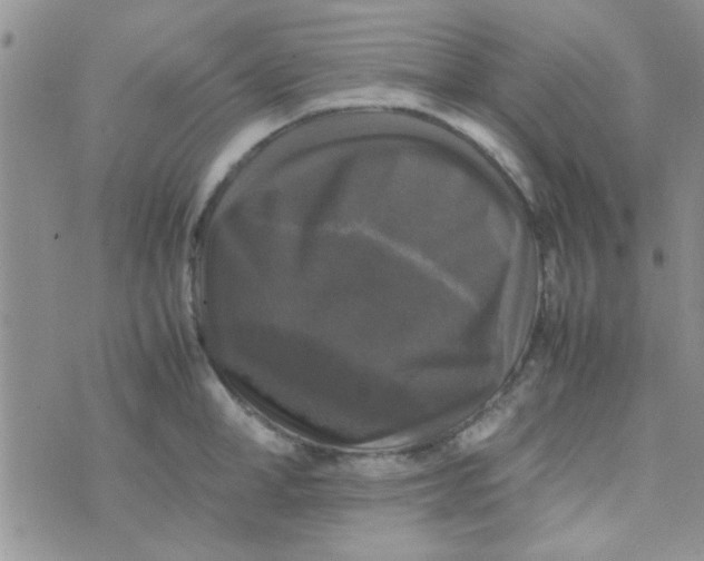 X0000070250998200606232003