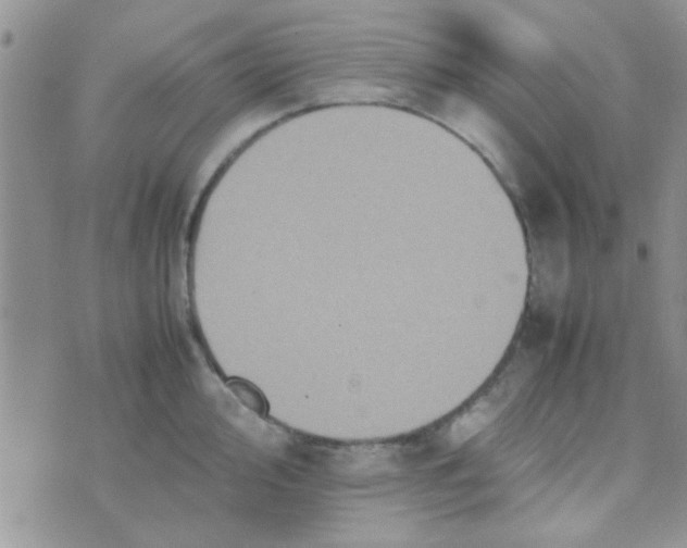 X0000070251000200606232003