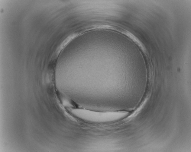 X0000070251001200606232003