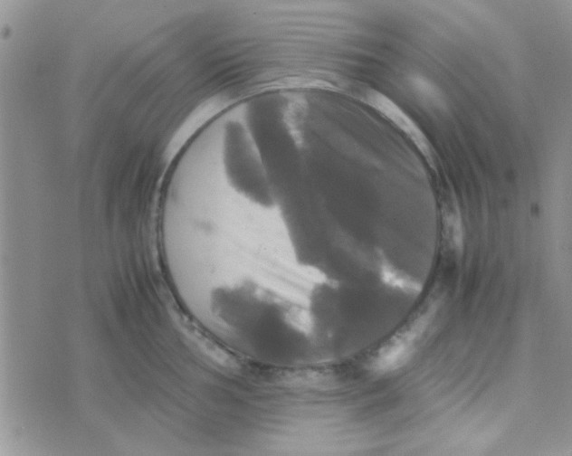 X0000070251002200606232003