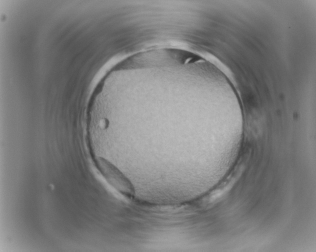 X0000070251005200606232003