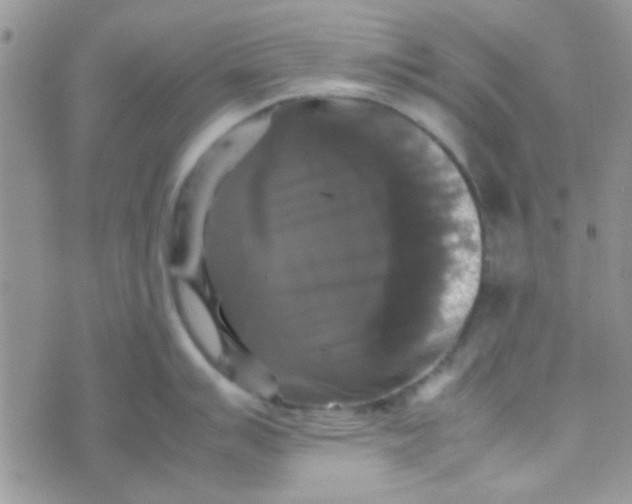 X0000070251007200606232003