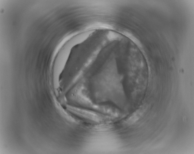 X0000070251008200606232003