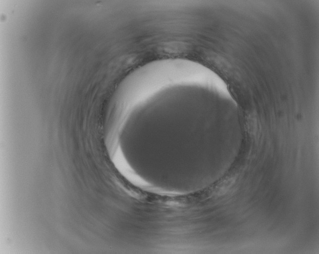 X0000070251009200606232002