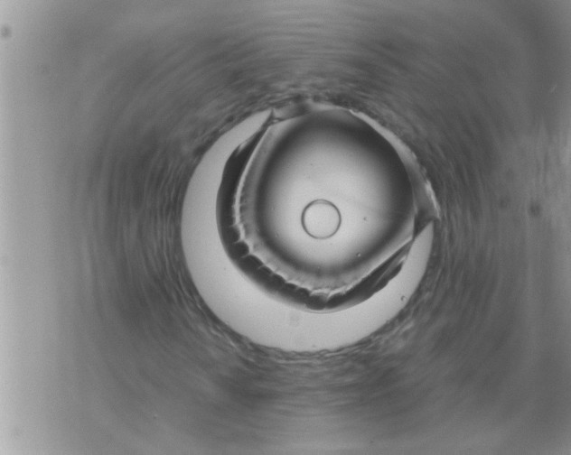 X0000070251010200606232002