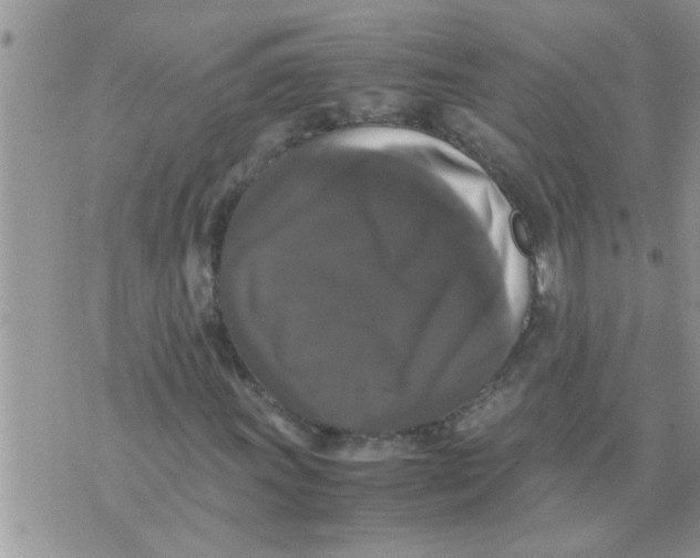 X0000070251011200606232002