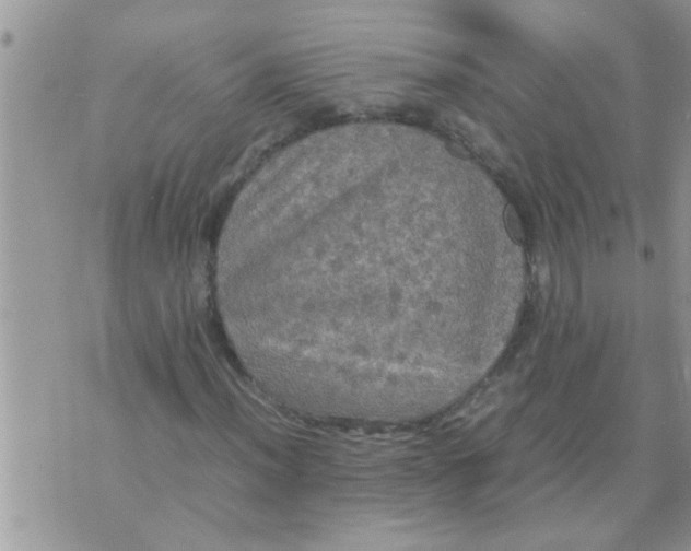 X0000070251012200606232002