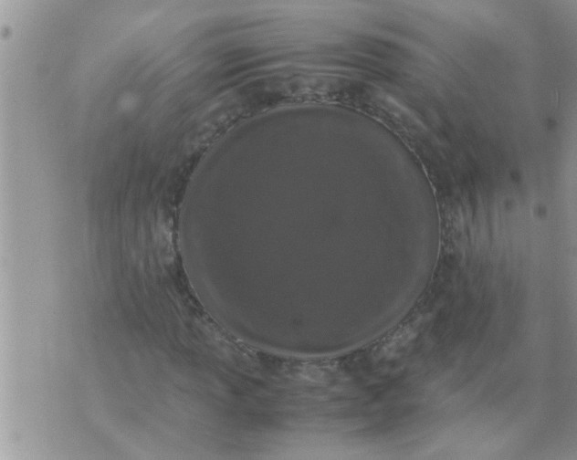 X0000070251013200606232002