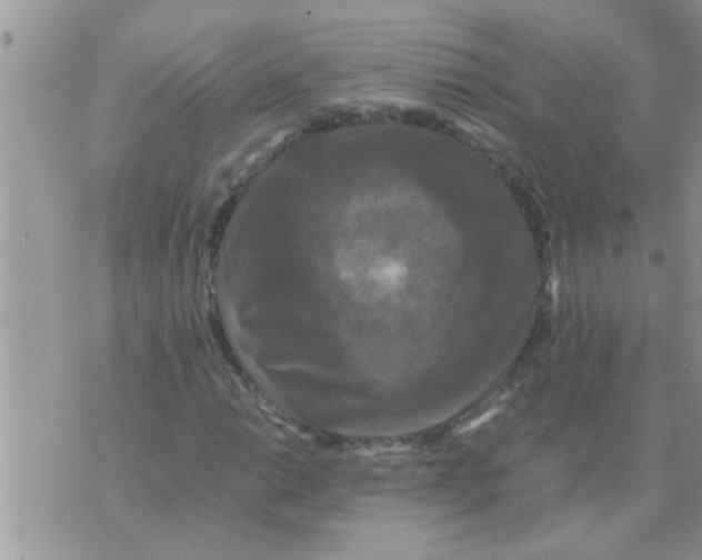 X0000070251014200606232002