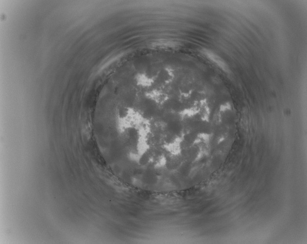 X0000070251015200606232002