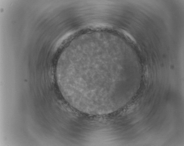 X0000070251016200606232002