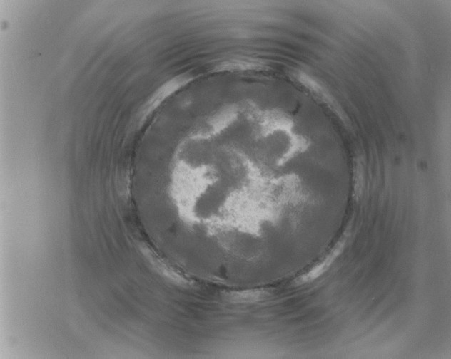 X0000070251017200606232002