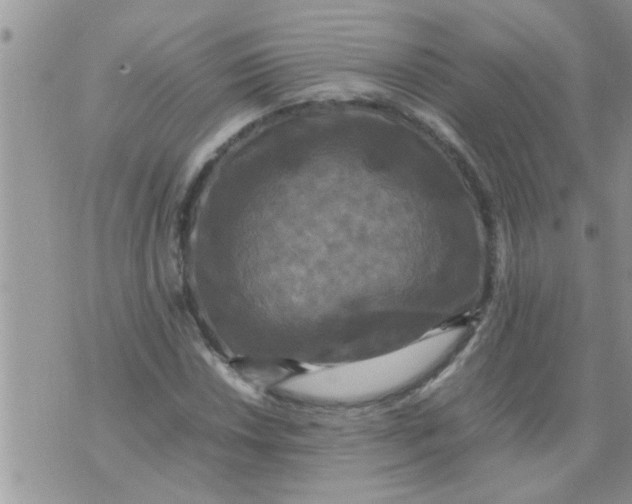 X0000070251018200606232002