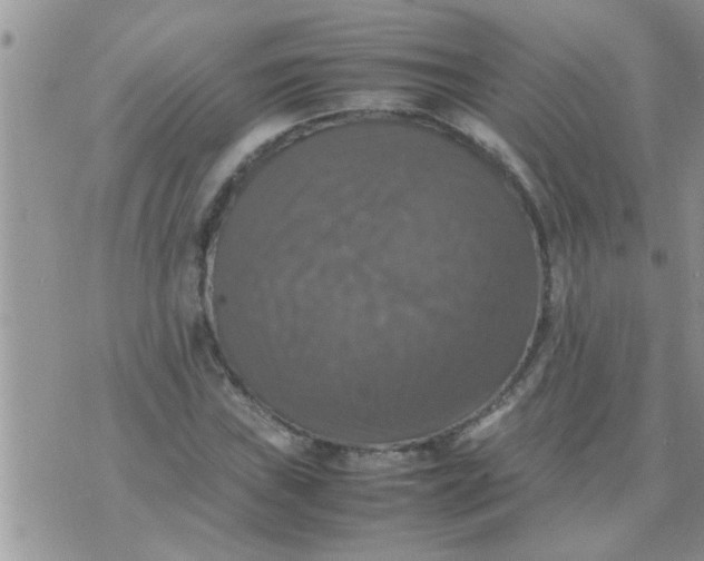 X0000070251019200606232002