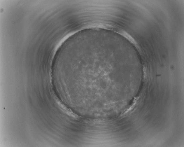 X0000070251020200606232002