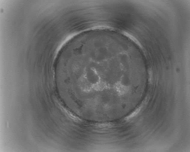 X0000070251021200606232002