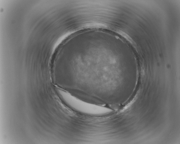 X0000070251022200606232002