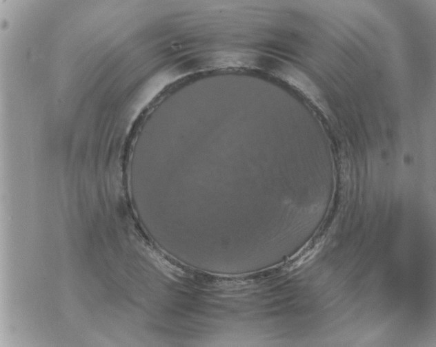 X0000070251023200606232002