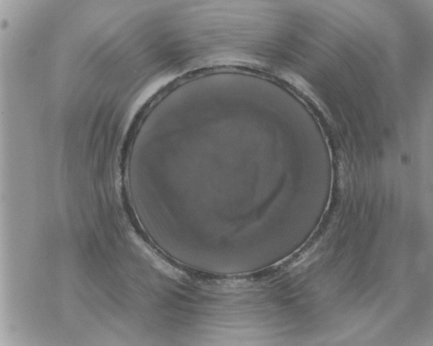 X0000070251024200606232002