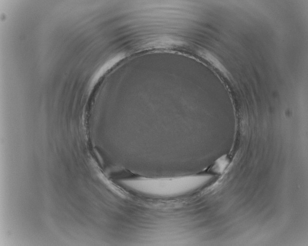 X0000070251026200606232002