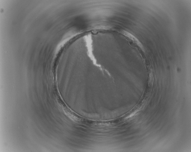 X0000070251027200606232002