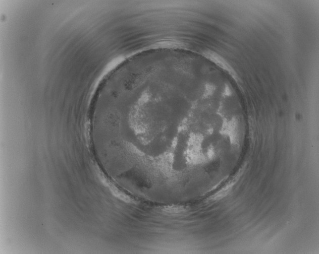 X0000070251029200606232002