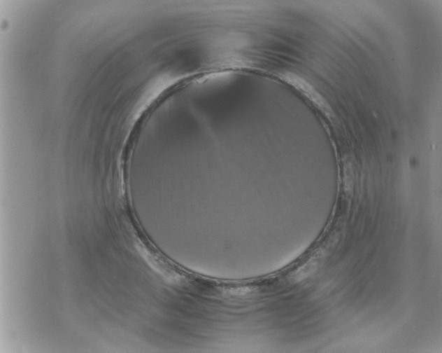 X0000070251031200606232002