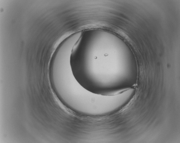 X0000070251034200606232003