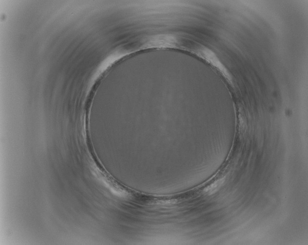 X0000070251035200606232003