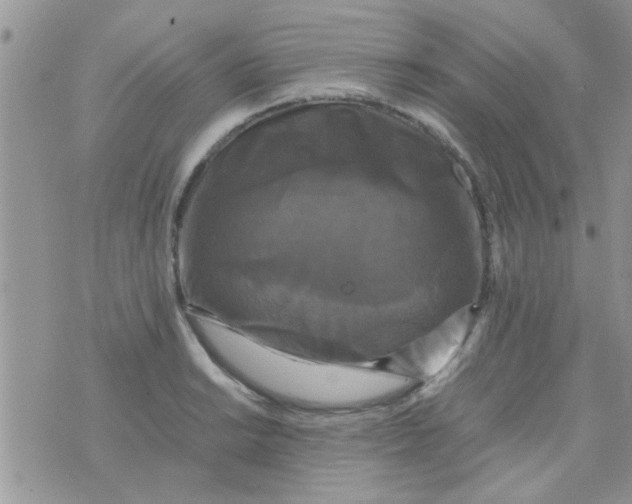 X0000070251038200606232003