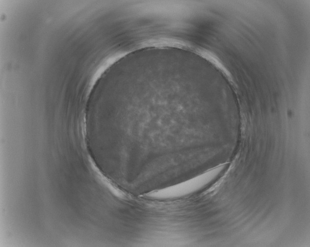 X0000070251040200606232003