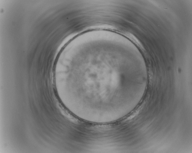 X0000070251044200606232003