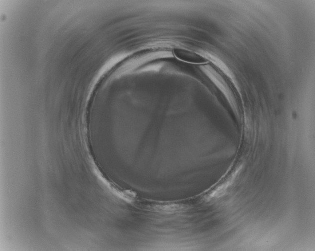 X0000070251045200606232003