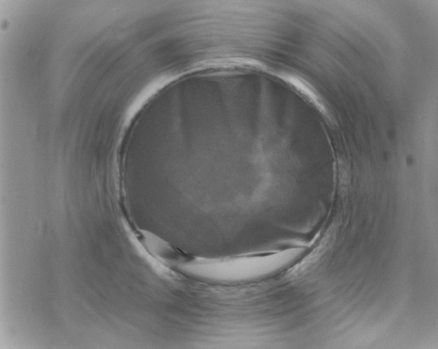 X0000070251046200606232003