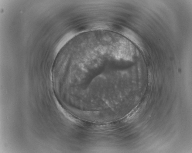 X0000070251047200606232003